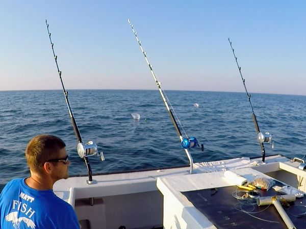 Wicked Tuna - La flotte contre-attaque