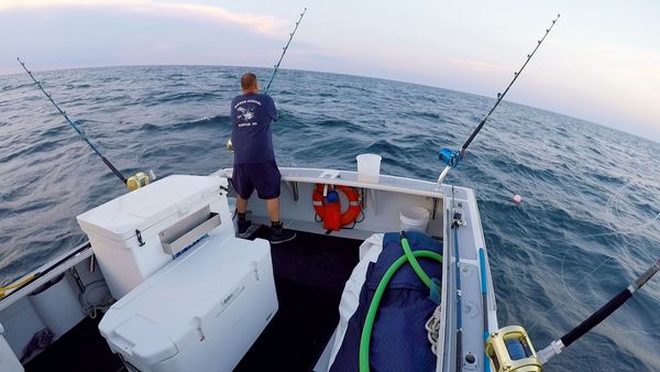 Wicked Tuna - Contre vents et marées