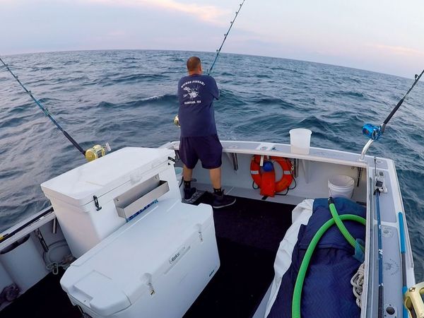 Wicked Tuna - Contre vents et marées
