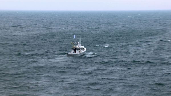 Wicked Tuna - Une vague de mutineries