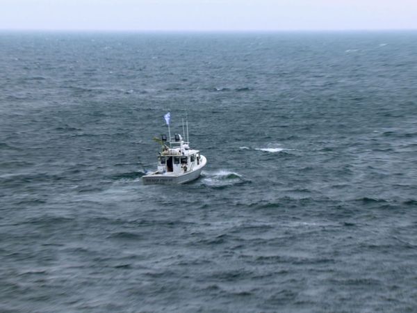 Wicked Tuna - Une vague de mutineries