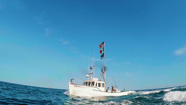 Wicked Tuna - Le chemin de la rédemption