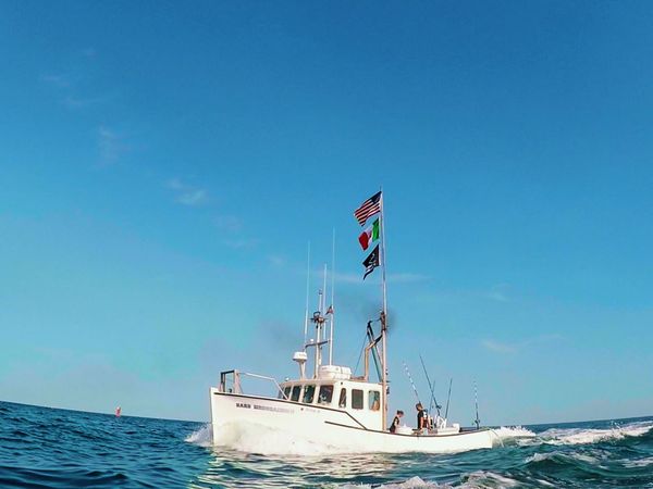 Wicked Tuna - Le chemin de la rédemption