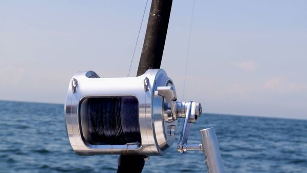 Wicked Tuna - Dernière ligne droite