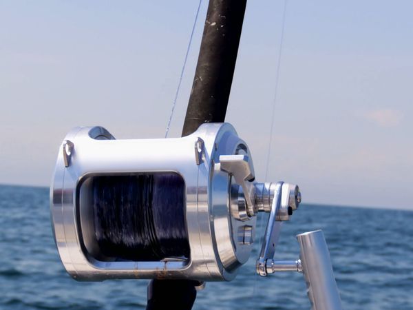 Wicked Tuna - Dernière ligne droite
