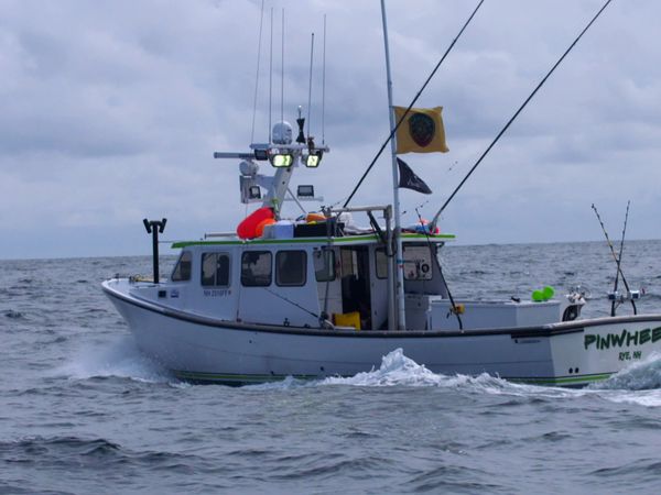 Wicked Tuna - Cri de ralliement