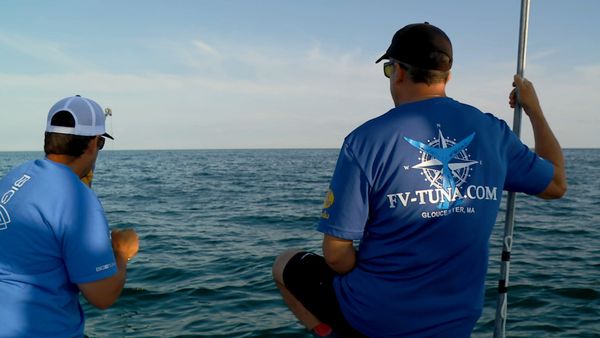 Wicked Tuna - Bataille de nageoires