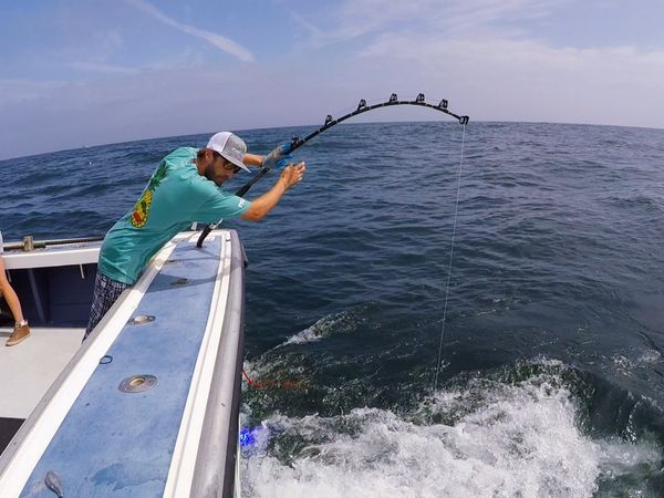 Wicked Tuna - Bataille de nageoires