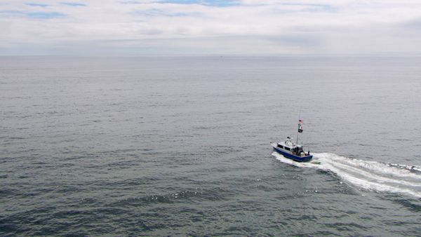 Wicked Tuna - Des vagues d'espoir