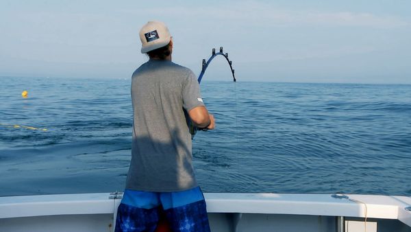 Wicked Tuna - Changement de programme