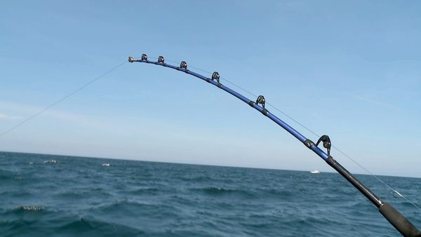 Wicked Tuna - Comme les deux doigts de la main