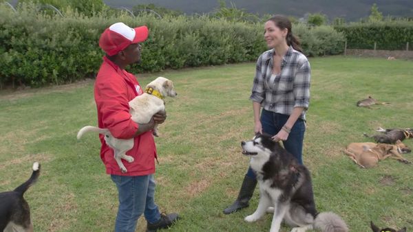 A Dog for Life - Dana and The McLachlan’s