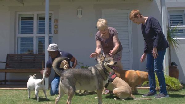 A Dog for Life - The Kisten’s and Mary