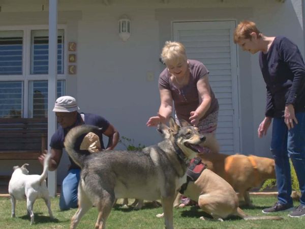 A Dog for Life - The Kisten’s and Mary
