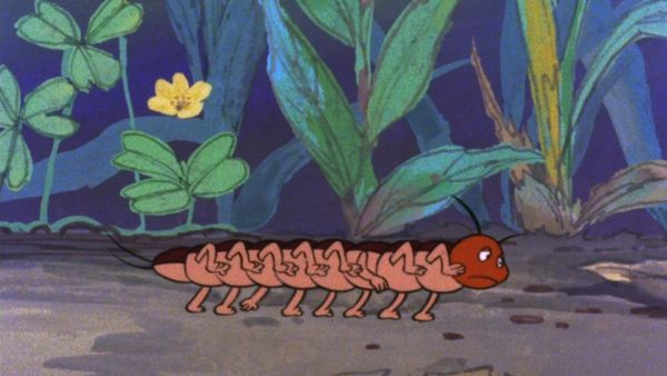 La Abeja Maya - Maya y el ciempiés Jerónimo