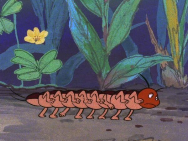 La Abeja Maya - Maya y el ciempiés Jerónimo