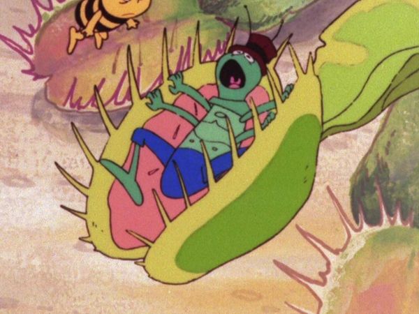 La Abeja Maya - Flip en la trampa
