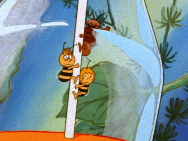 La Abeja Maya - Un viaje en botella