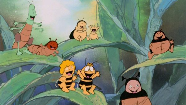 La Abeja Maya - Concurso de belleza