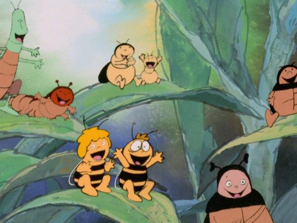 La Abeja Maya - Concurso de belleza