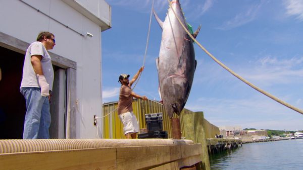 Wicked Tuna - En famille