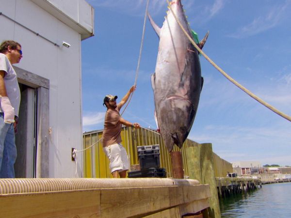 Wicked Tuna - En famille