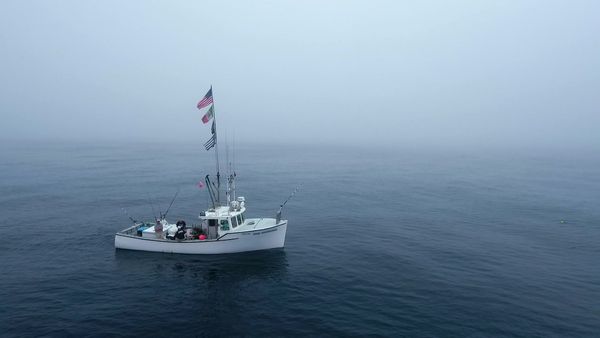 Wicked Tuna - 'Frictions à bord