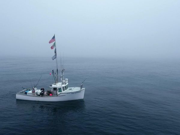 Wicked Tuna - 'Frictions à bord
