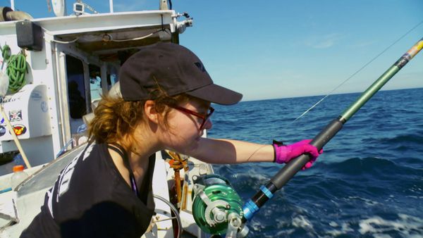 Wicked Tuna - Alliances risquées