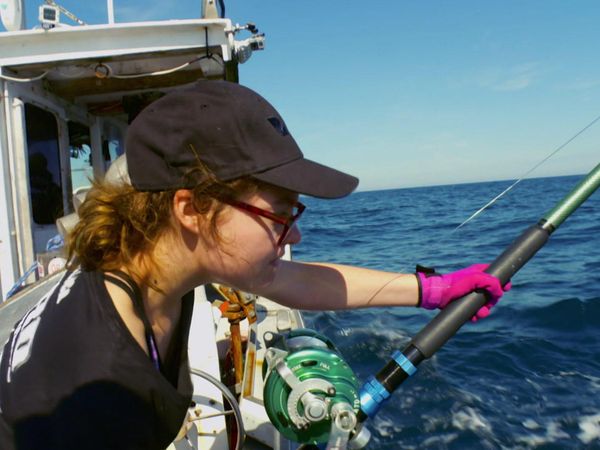 Wicked Tuna - Alliances risquées