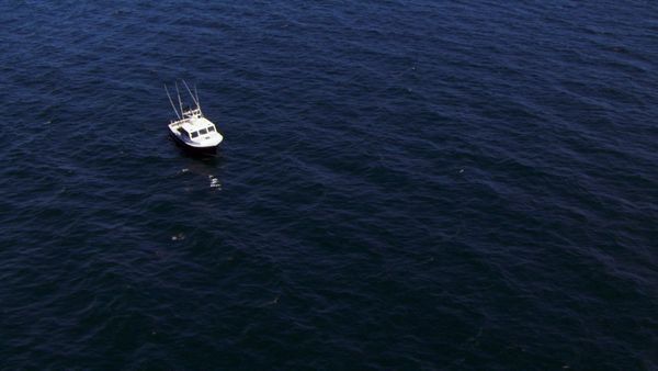 Wicked Tuna - Compte à rebours