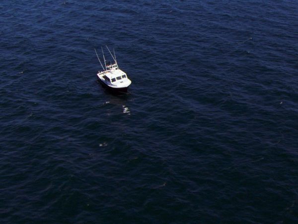 Wicked Tuna - Compte à rebours
