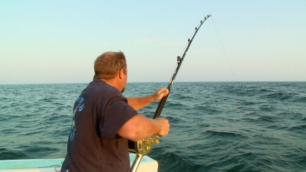 Wicked Tuna - La fraternité des pêcheurs