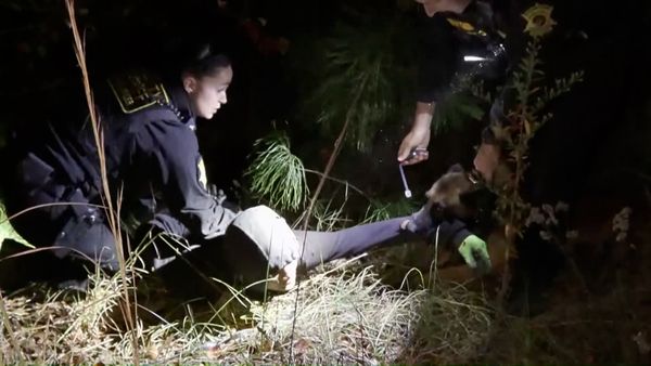 On Patrol: Live - Road Rage Investigation
