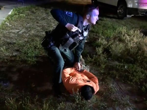 On Patrol: Live - Hospital Patient Search