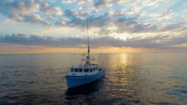 Wicked Tuna - Join The Crew (Special)