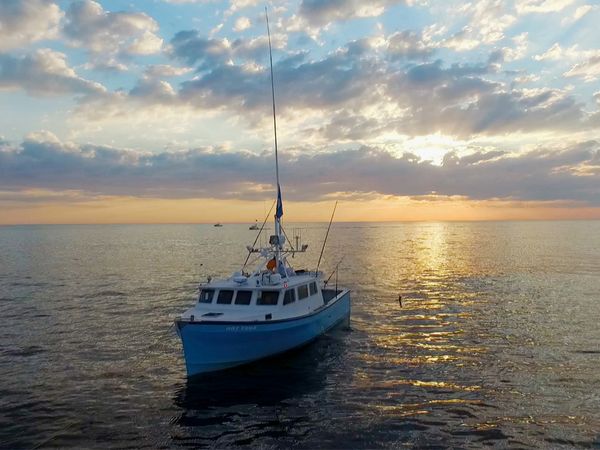 Wicked Tuna - Join The Crew (Special)