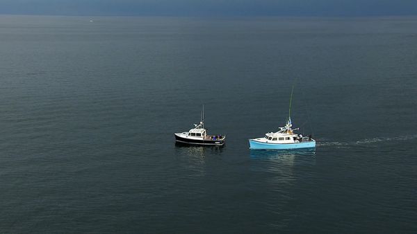 Wicked Tuna - Tradimento, Il
