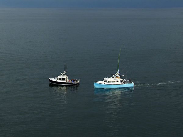 Wicked Tuna - Tradimento, Il