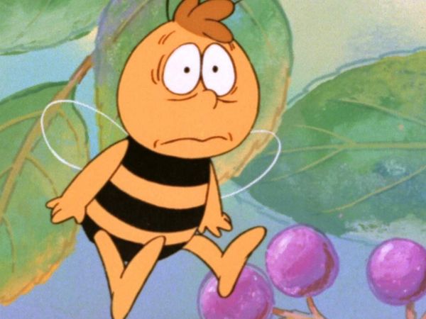 La Abeja Maya - Un avispón muy extraño