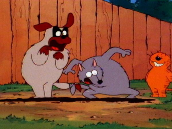 Les Entrechats - Un cirque pas comme les autres / Des chats dans la lune