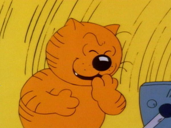 Les Entrechats - Le Hamac / Le Camping sauvage