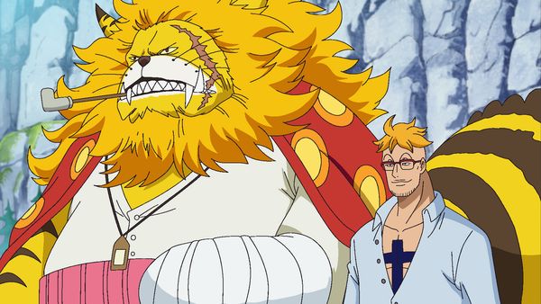 One Piece - Marco! The Keeper of Whitebeard's Last Memento!