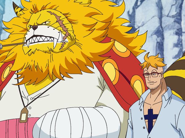 One Piece - Marco! The Keeper of Whitebeard's Last Memento!