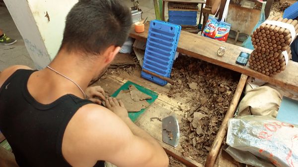 No Luggage - Cigar Making