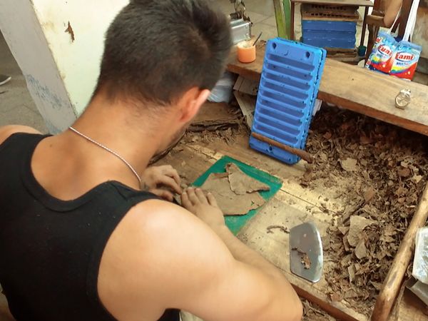 No Luggage - Cigar Making