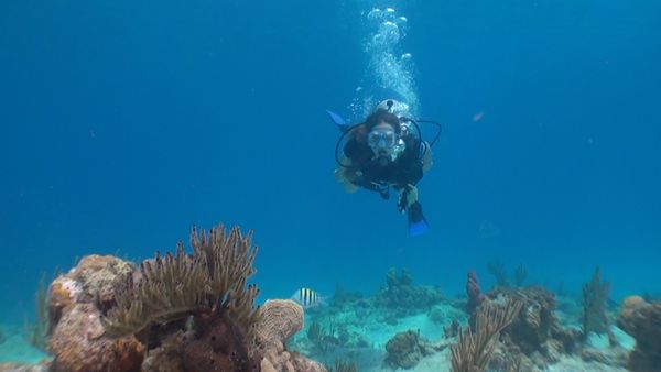 No Luggage - Diving