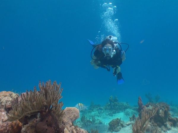 No Luggage - Diving