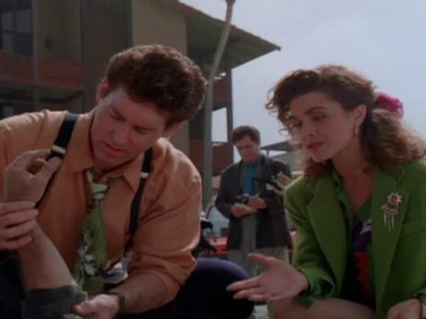 Silk Stalkings - Silk Stalkings: S1 E3 - S.O.B.