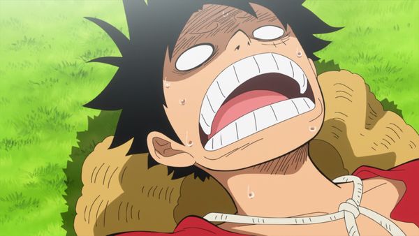 One Piece - Zero and Four! Encountering Germa 66!